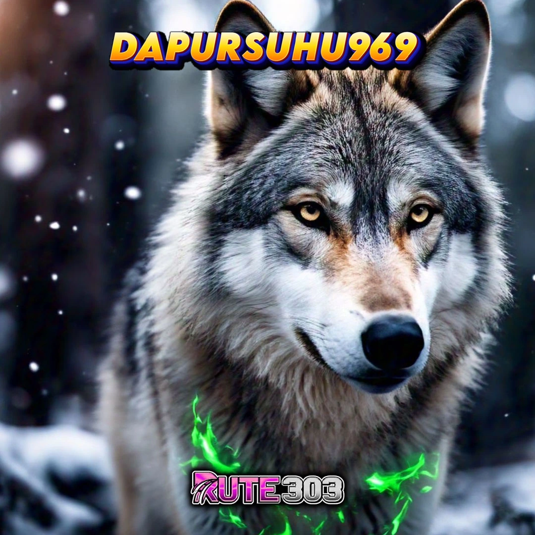 DAPURSUHU969